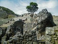 Mysteries of Machu Picchu