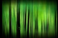 Mysterious Abstract Blurry Green Forest Royalty Free Stock Photo