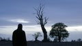 A mysterious, atmospheric man with back to camera, looking at a out of focus dead tree, with branches silhouetted against the sky Royalty Free Stock Photo