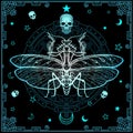 Mysterious background: the stylized color image of a mantis, a mystical circle, a decorative frame.