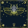 Mysterious background: the stylized color image of a mantis, space symbols. Gold imitation.