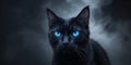 Mysterious black cat with glowing blue eyes in a dark background. Royalty Free Stock Photo