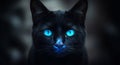 Mysterious Black Cat With Intense Glowing Blue Eyes Staring Forward in a Dark Atmospheric Setting with Subtle Speckles of Light Royalty Free Stock Photo