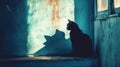 Mysterious Black Cat and its Shadow on a Weathered Wall Royalty Free Stock Photo