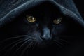 Mysterious black cat peeking from the shadows Royalty Free Stock Photo