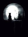 Mysterious Black Cats under the Halloween Moon .