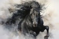 Mysterious Black horse watercolor. Generate Ai