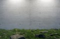 Mysterious Blank Cement Wall Surrounded by Large Rocks and Grass in Field