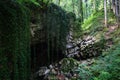 Mysterious cave entrance in big stone with liana in forest Royalty Free Stock Photo