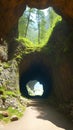 Mysterious Cave Entrance Leading into the Heart of the Mountain Royalty Free Stock Photo