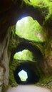 Mysterious Cave Entrance Leading into the Heart of the Mountain