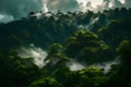 mysterious cloud formation over a mountain slope during the monsoon rainy season, with treetops protruding from the dense forest