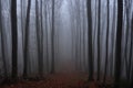 Mysterious dark autumn forest in green fog with road, trees and branches Royalty Free Stock Photo