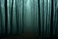 Mysterious dark autumn forest in green fog with road, trees and branches Royalty Free Stock Photo