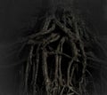 Entwined roots of an old tree, black and white photo Royalty Free Stock Photo