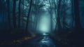 Mysterious dark forest with fog, path and trees. Halloween concept Royalty Free Stock Photo