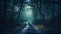 Mysterious dark forest with fog and road. Halloween concept. Royalty Free Stock Photo