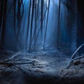 Mysterious dark forest at night with fog, spooky landscape Royalty Free Stock Photo
