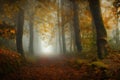 mysterious dark path in a misty autumn foggy forest Royalty Free Stock Photo