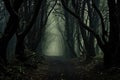 Mysterious dark spooky forest with fog. Halloween concept, A dark forest with numerous trees covered in fog, AI Generated Royalty Free Stock Photo