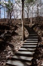 Mysterious dead forest and stairs leading into the up hill Royalty Free Stock Photo