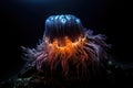 mysterious deep-sea creature, surrounded by its own unique light show Royalty Free Stock Photo