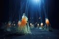 mysterious deep-sea siphonophore colony