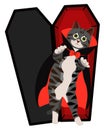 The Mysterious Dracula Cat and its Coffin Chronicles