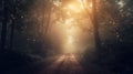 Mysterious enchanted forest filled with golden light. Path leading through the dark trees towards the glowing light. Magical misty
