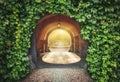 Mysterious entrance. New life or beginning concept Royalty Free Stock Photo