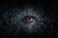 Mysterious eye from darkness. ÃÂ¡oncept on psychological topic of addiction drug addiction, alcoholism and horror, Gothic, fear