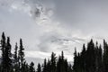 Mysterious Face In Snowy Mountains. Mount Rainier National Park, Washington, USA. Royalty Free Stock Photo