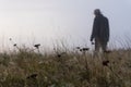 A mysterious figure standing out of focus with a shallow depth of field in the background. With a close up of plants, misty