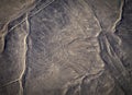 Mysterious figures Nazca desert from the aircraft