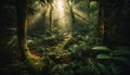 Mysterious fog blankets tranquil rainforest, revealing nature dark beauty generated by AI