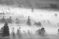 Early morning long shadow of trees in fog Royalty Free Stock Photo