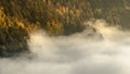 Mysterious fog rising over a valley with a colorful autumn forest at sunrise Royalty Free Stock Photo