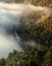 Mysterious fog rising over a valley with a colorful autumn forest at sunrise Royalty Free Stock Photo