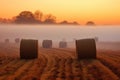 mysterious fog settling over a hay bale maze at dawn