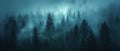 Mysterious fog shrouds a dense forest Royalty Free Stock Photo