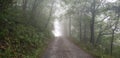 Mysterious and foggy dirt road Royalty Free Stock Photo