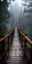 Mysterious Foggy Forest: A Dark And Gritty Wooden Suspension Bridge