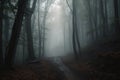 mysterious foggy forest with eerie sounds and menacing silence