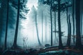 Mysterious foggy forest with pine trees. Misty forest landscape