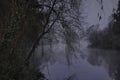 Foggy forest river at night Royalty Free Stock Photo