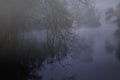 Foggy forest river at night Royalty Free Stock Photo
