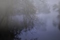 Foggy forest river at night Royalty Free Stock Photo