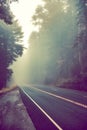 Mysterious foggy road. National Redwood forest. California Royalty Free Stock Photo