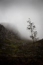 Mysterious, foggy Scottish highland mountain top with rocky cliff face and solitary tree