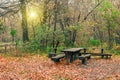 Mysterious forest in the evening after rain. Table and bench in the forest. Picturesque autumn nature. Royalty Free Stock Photo